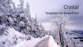  Presentation with winter road and branch - Colorful PPT theme enhanced with solstice - beautiful frozen trees backdrop and a light blue colored foreground