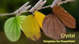  Presentation with four seasons - Slide deck featuring solstice - four seasons leaves background and a tawny brown colored foreground