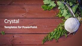  Presentation with fern - PPT layouts with solstice - oak leaves and fern background and a tawny brown colored foreground