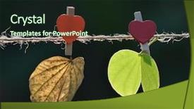  Presentation with season - Presentation theme having solstice - season concept leaves background and a wine colored foreground