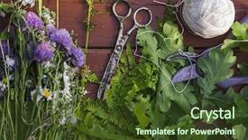  Presentation with meadow - Amazing presentation design having solstice - top view on wooden table backdrop and a tawny brown colored foreground