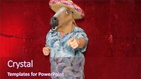  Presentation with horse head - Slide set featuring sombrero and a horse background and a wine colored foreground