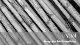  Presentation with zen - Beautiful presentation featuring rods in a zen background backdrop and a gray colored foreground