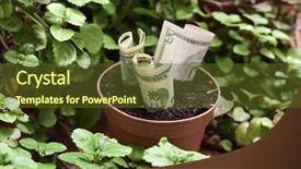  Presentation with plant - Beautiful presentation theme featuring some countries as a money backdrop and a tawny brown colored foreground