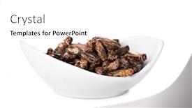  Presentation with barbecue - Amazing presentation design having some fried crickets seasoned backdrop and a white colored foreground