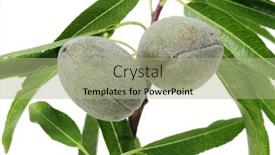  Presentation with almonds - Cool new presentation theme with some green almonds with its shells on a white background backdrop and a mint green colored foreground