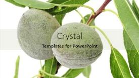  Presentation with almonds - Theme consisting of some green almonds with its shells on a white background background and a mint green colored foreground