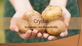  Presentation with grown - Theme having some home grown organic potato background and a coral colored foreground