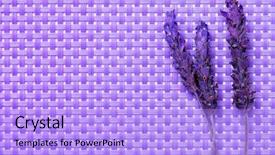  Presentation with lavender flowers - PPT theme enhanced with some lavender flowers background and a light blue colored foreground