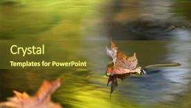  Presentation with water leaf - Presentation theme enhanced with some mist and reflection background and a tawny brown colored foreground