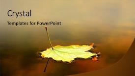  Presentation with water leaf - PPT theme having some mist and reflection background and a coral colored foreground