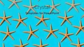  Presentation with orange starfish - PPT theme with some-orange-dry-starfish-arranged background and a cyan colored foreground