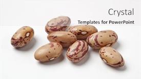  Presentation with beans - Theme enhanced with some pinto beans phaseolus vulgaris background and a white colored foreground