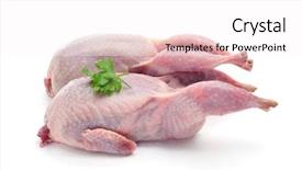  Presentation with quail - Amazing presentation theme having some plucked quails ready backdrop and a white colored foreground
