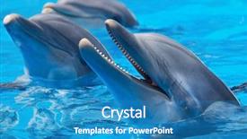  Presentation with water drops in blue tone - Theme featuring sonar - happy dolphins in the blue background and a teal colored foreground