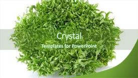  Presentation with lettuce - Colorful PPT layouts enhanced with three old wood shutters in a plaster wall backdrop and a light gray colored foreground