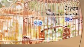  Presentation with cage - Beautiful presentation featuring songbird in cage symbol backdrop and a coral colored foreground