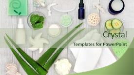 Presentation with aloe vera - PPT layouts consisting of soothing - aloe vera skincare including plant background and a mint green colored foreground