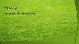  Presentation with soothing - Slides enhanced with soothing - green lawn in perspective background and a yellow colored foreground