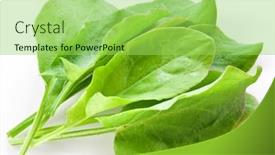  Presentation with background - PPT layouts with sorrel-isolated-on-white-background background and a yellow colored foreground