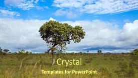  Presentation with kruger - Colorful presentation theme enhanced with south-africa-the-kruger-park backdrop and a tawny brown colored foreground