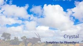  Presentation with south africa - Cool new slide set with south-africa-the-kruger-park backdrop and a sky blue colored foreground