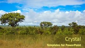  Presentation with south africa - Slide set featuring south-africa-the-magnificent-famous background and a tawny brown colored foreground