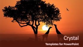 Africa Templates for PowerPoint and Google Slides