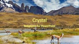  Presentation with chile patagonia - Theme featuring south america - guanaco in torres del paine background and a tawny brown colored foreground