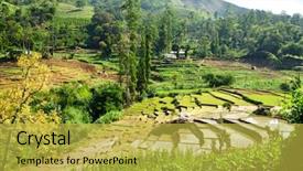  Presentation with rice terraces - Colorful theme enhanced with south asian rice field terraces backdrop and a yellow colored foreground