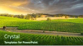  Presentation with australian - Amazing PPT theme having south-australian-vineyard-bathed backdrop and a tawny brown colored foreground