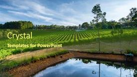  Presentation with vineyard - Amazing presentation theme having south-australian-vineyard-bathed backdrop and a tawny brown colored foreground