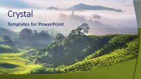  Presentation with morning sunrise - Presentation consisting of south east asia - tea plantations at cameron highlands background and a light blue colored foreground