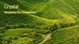  Presentation with tea plantation - Audience pleasing PPT theme consisting of south india - tea plantation in cameron highlands backdrop and a tawny brown colored foreground