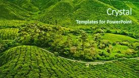  Presentation with tea plantation - PPT layouts enhanced with south india - tea plantation in cameron highlands background and a forest green colored foreground