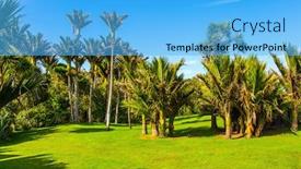  Presentation with country photo - Amazing PPT theme having south-island-in-new-zealand backdrop and a light blue colored foreground