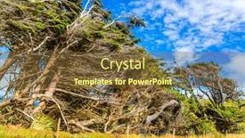  Presentation with route - Theme featuring south-island-new-zealand-trees background and a tawny brown colored foreground