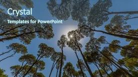  Presentation with pine trees - Amazing slides having south lebanon middle east backdrop and a ocean colored foreground