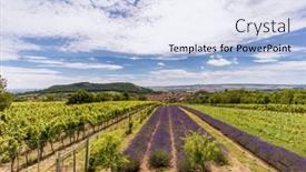  Presentation with czech republic - Presentation design featuring south-moravian-town-of-mikulov background and a light blue colored foreground