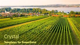  Presentation with viticulture - PPT theme having south-moravian-vineyard-near-dolni background and a tawny brown colored foreground