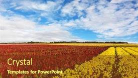  Presentation with rural tourism - Slides featuring south-of-israel-spring-day background and a tawny brown colored foreground