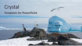  Presentation with antarctic - Audience pleasing PPT theme consisting of south pole - beautiful antarctic landscape with glaciers backdrop and a light blue colored foreground