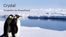  Presentation with pole - Slide set having south pole - penguins in antarctica background and a light blue colored foreground