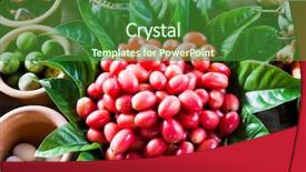  Presentation with labour market - PPT theme featuring southeast asian nations - floating market near bangkok thailand background and a forest green colored foreground