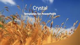  Presentation with dry - Audience pleasing slide deck consisting of southern hemisphere - dry summer dune grasses backdrop and a  colored foreground