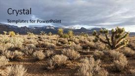  Presentation with nevada desert - Theme enhanced with certification job skills - websearch new blue search button background and a lemonade colored foreground