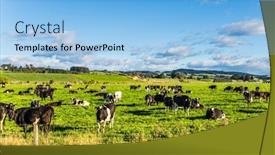  Presentation with green hills - Slide set consisting of southern-scenic-route-large-herd background and a light blue colored foreground