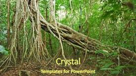  Presentation with tropical forest - Audience pleasing PPT layouts consisting of fuji mountain and kawaguchiko lake at sunset autumn seasons fuji mountain at yamanachi in japan backdrop and a gray colored foreground.