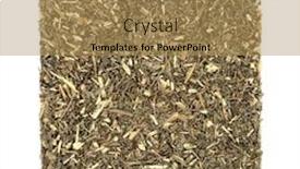  Presentation with liver - Amazing slide deck having southernwood-herb-leaf-used backdrop and a yellow colored foreground