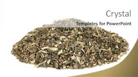  Presentation with liver - PPT theme having southernwood-herb-used-in-herbal background and a white colored foreground